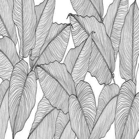 Papier Peint Motif Tropical Noir et Blanc | Le Petit Intissé