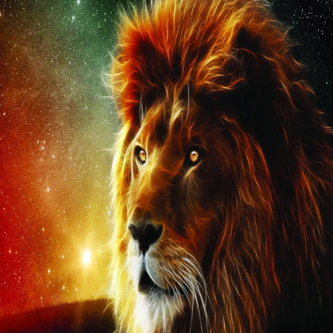 Papier Peint Photo Lion | Le Petit Intissé