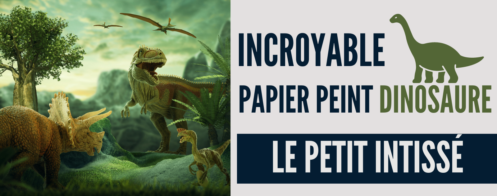 Chambre Dinosaure que de Belles Idées!