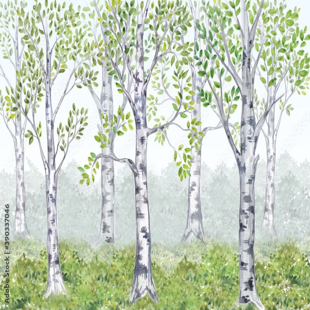 Déco Forêt Chambre Bébé | Le Petit Intissé