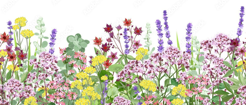 Papier Peint Fleurs Sauvages | Le Petit Intissé