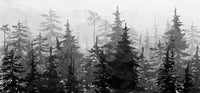 Thumbnail for Papier Peint Panoramique Foret Noir Et Blanc