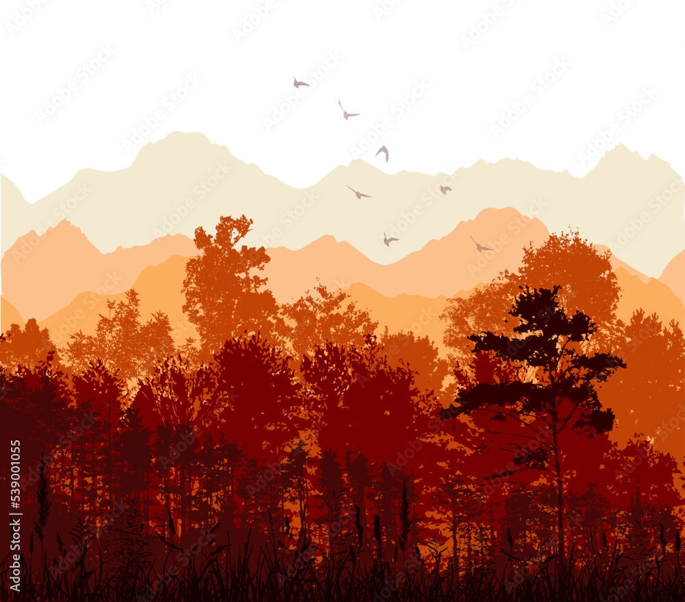 Papier Peint Foret Automne