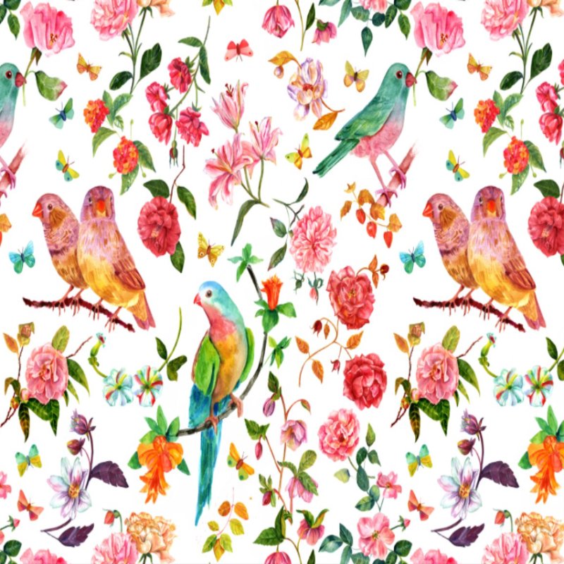 Papier Peint Oiseaux <br/> Rose