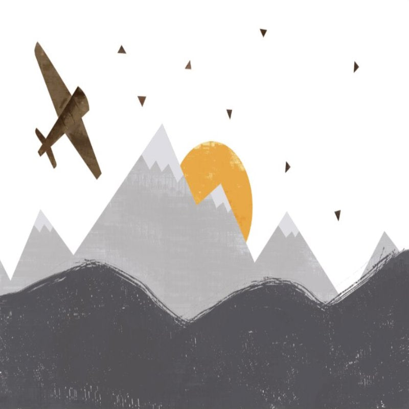 Papier Peint Avion <br/> Planeur et Horizon