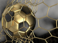 Thumbnail for Papier Peint Foot <br/> Ballon d'Or