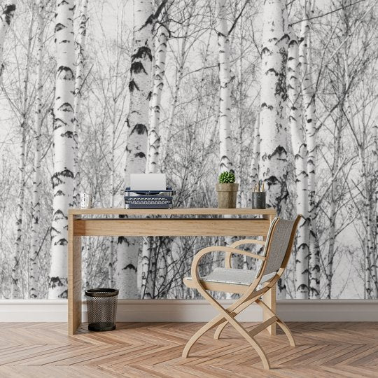 Papier Peint Foret De Bouleau