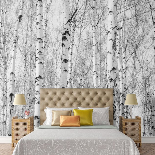 Papier Peint Foret De Bouleau