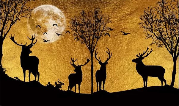 Papier Peint 3D Foret