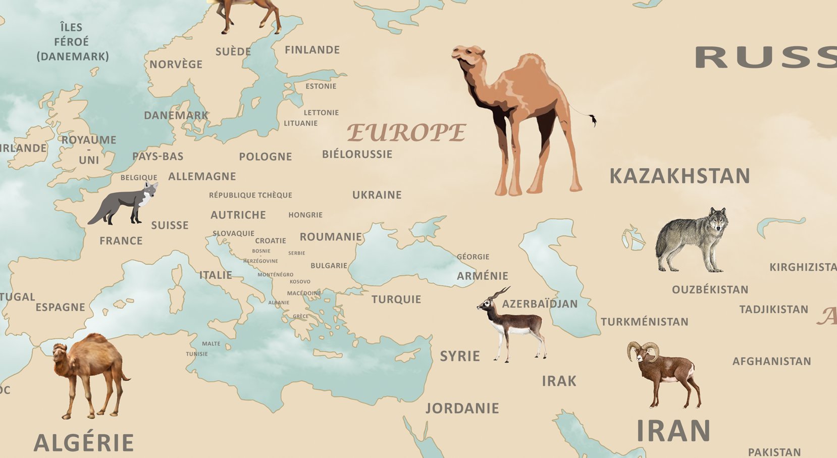 Papier Peint Carte du Monde <br/> Pays en Français