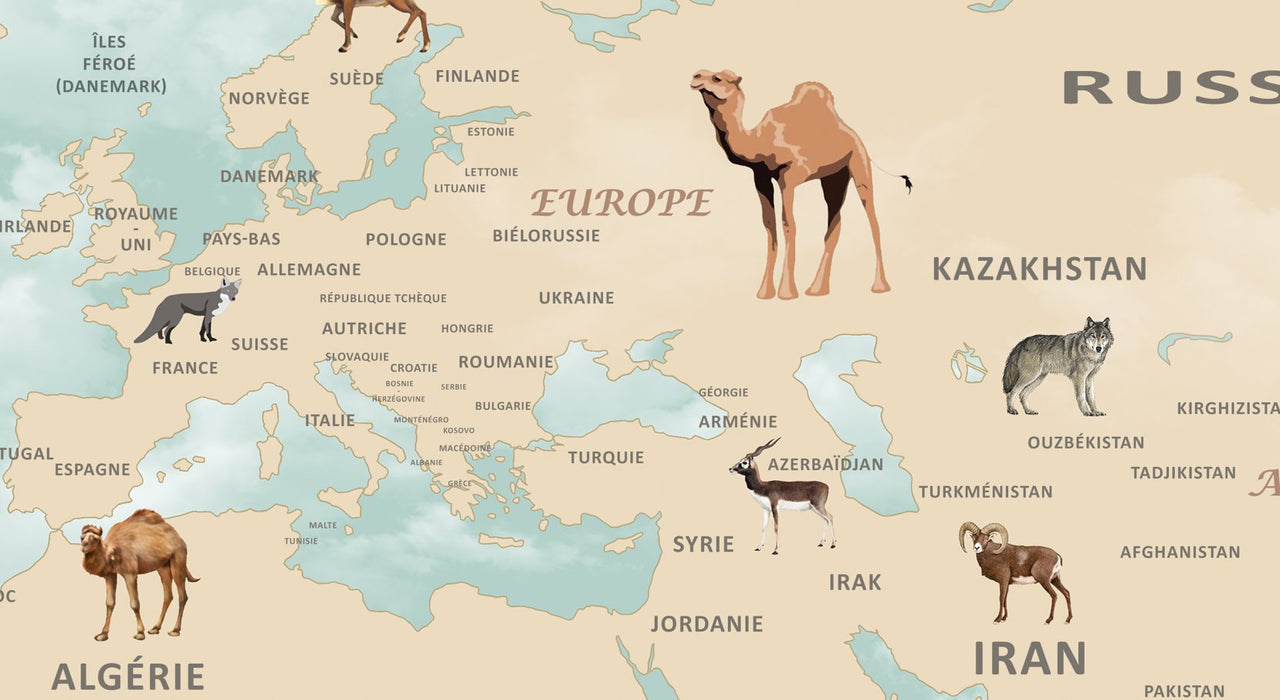 Papier Peint Carte du Monde <br/> Pays en Français