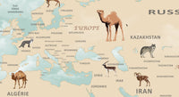 Thumbnail for Papier Peint Carte du Monde <br/> Pays en Français