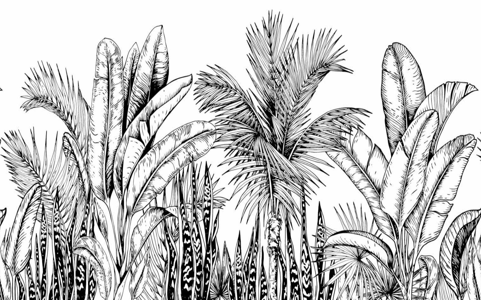 Papier Peint Noir et Blanc <br/> Panoramique Végétal Noir et Blanc