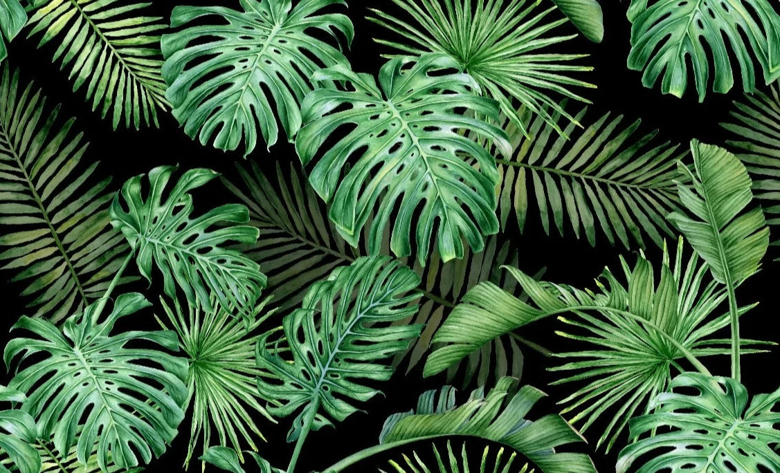 Papier Peint Tropical <br/> Vert et Noir