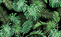Thumbnail for Papier Peint Tropical <br/> Vert et Noir
