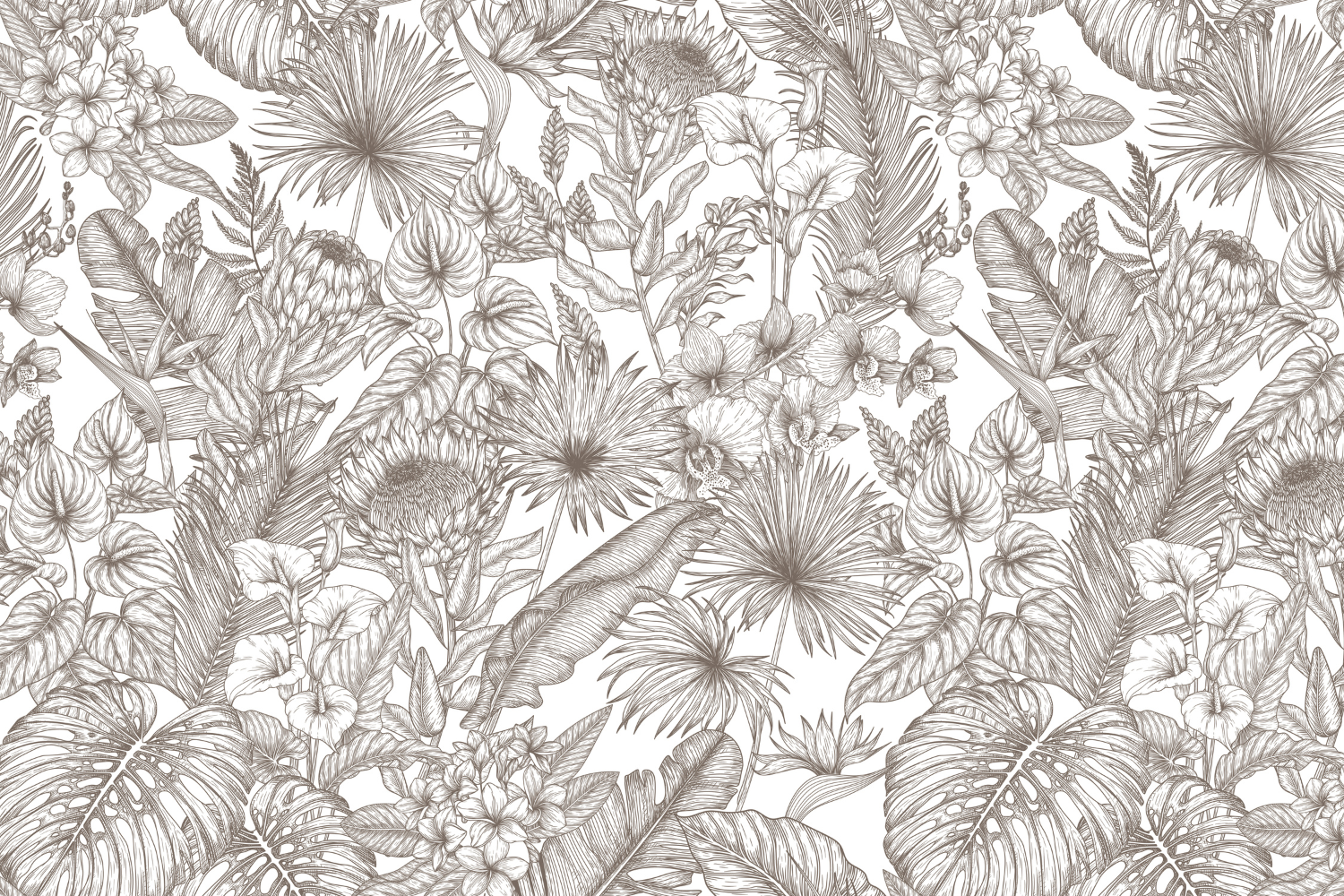 Papier Peint Mural Chambre Adulte | Le Petit Intissé