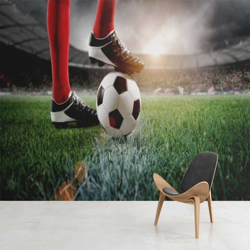 Papier Peint Foot <br/> Position Terrain