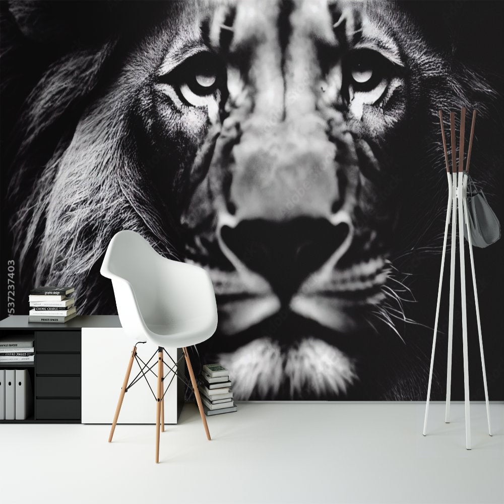 Papier Peint Noir et Blanc <br/> Lion Œil Perçant