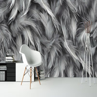 Thumbnail for Papier Peint Plume <br/> Grandiose Noir et Blanc