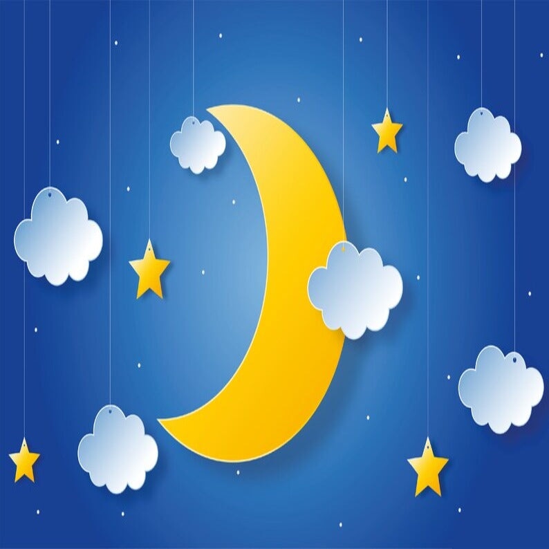 Papier Peint Bleu Nuit | Le Petit Intissé