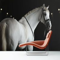 Thumbnail for Papier Peint Noir et Blanc <br/> Pur Sang