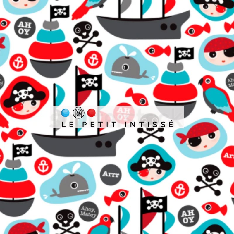 Papier Peint Pirate <br/> Jolis Motifs