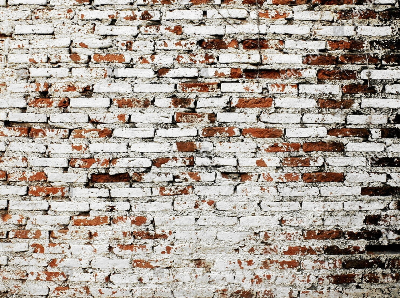 Papier Peint Fausse Brique | Le Petit Intissé