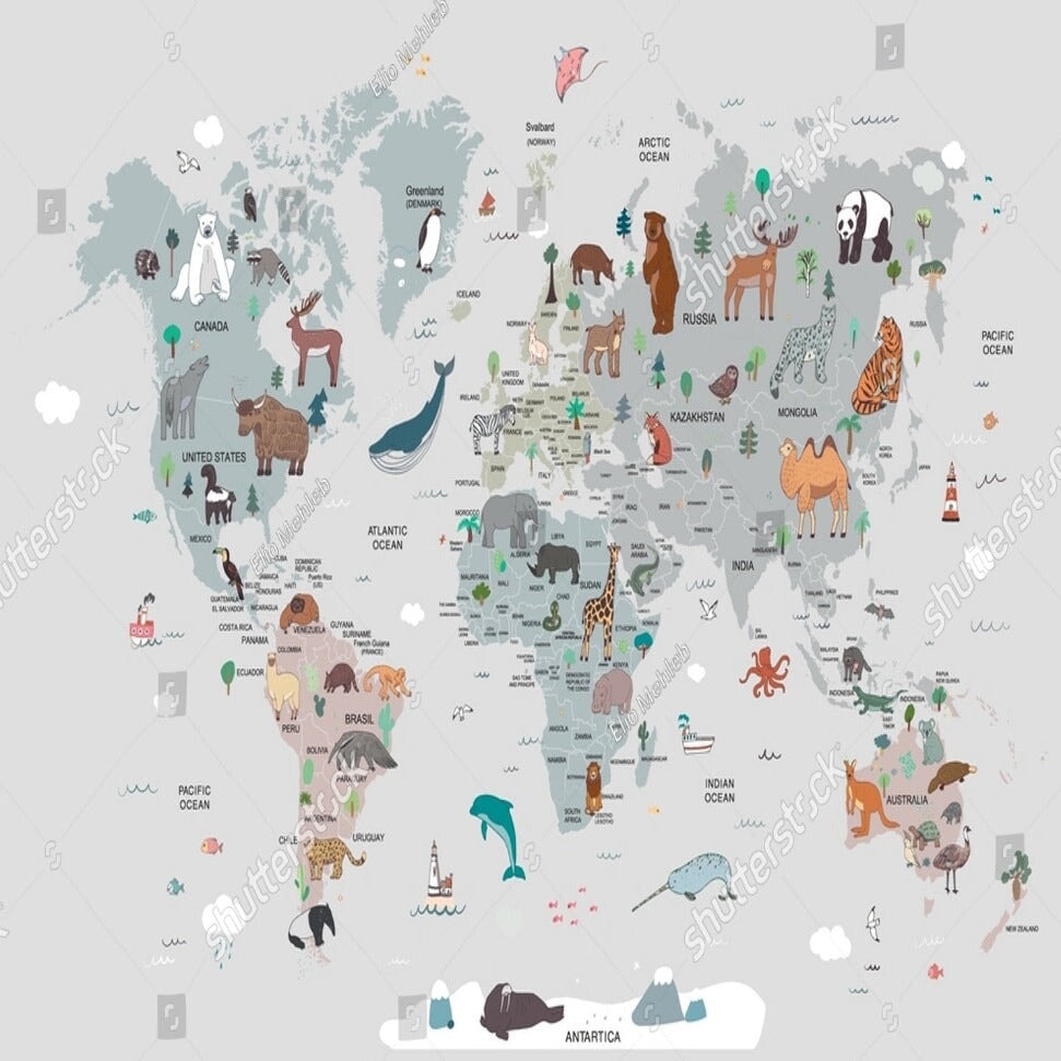 Papier Peint Carte Géographique | Le Petit Intissé