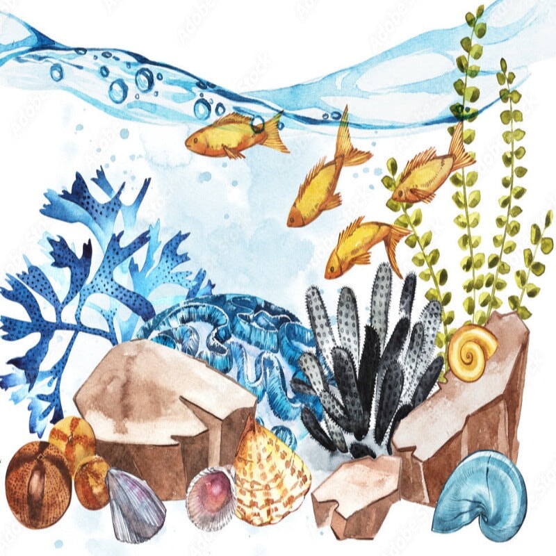 Papier Peint Fond Marin | Le Petit Intissé