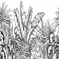 Thumbnail for Tropical Jungle Papier Peint Tropical | Le Petit Intissé