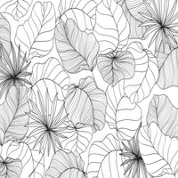 Thumbnail for Papier Peint Tropical Blanc et Noir | Le Petit Intissé