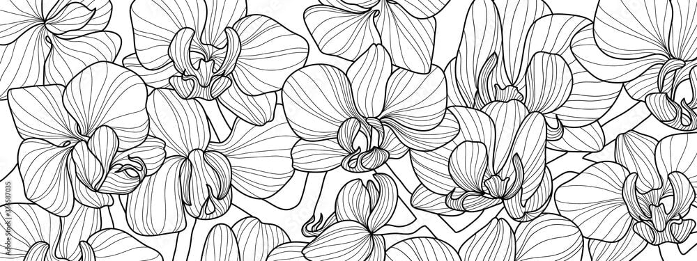 Tapisserie Fleur Noir et Blanc | Le Petit Intissé