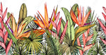 Papier Peint Tropical <br/> Oiseau de Paradis Coloré