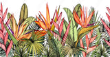 Papier Peint Tropical <br/> Oiseau de Paradis Coloré