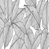Thumbnail for Papier Peint Motif Tropical Noir et Blanc | Le Petit Intissé