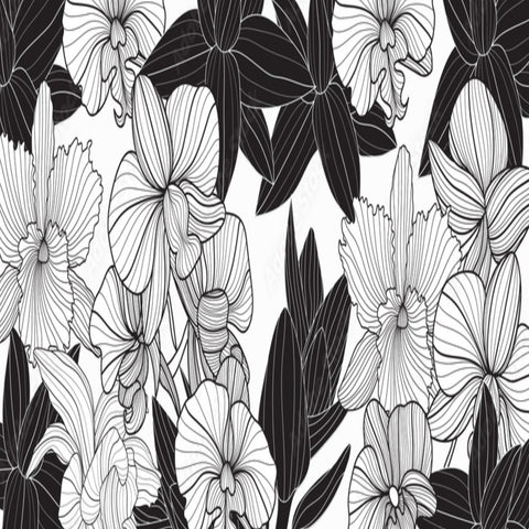 Papier Peint Fleurs Noir et Blanc | Le Petit Intissé