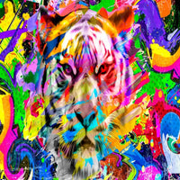 Thumbnail for Tigre Graffiti | Le Petit Intissé