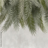 Papier Peint Tropical <br/> Ambiance Vert et Gris