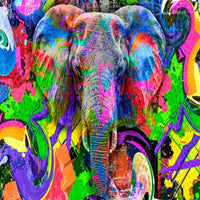 Thumbnail for Eléphant Graffiti Art | Le Petit Intissé