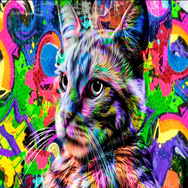 Papier Peint Motif Chat | Le Petit Intissé