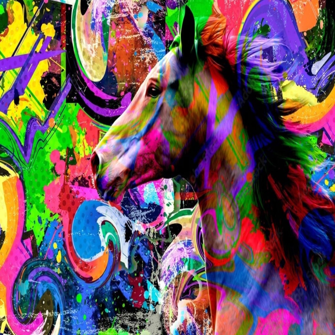 Graffiti Cheval | Le Petit Intissé