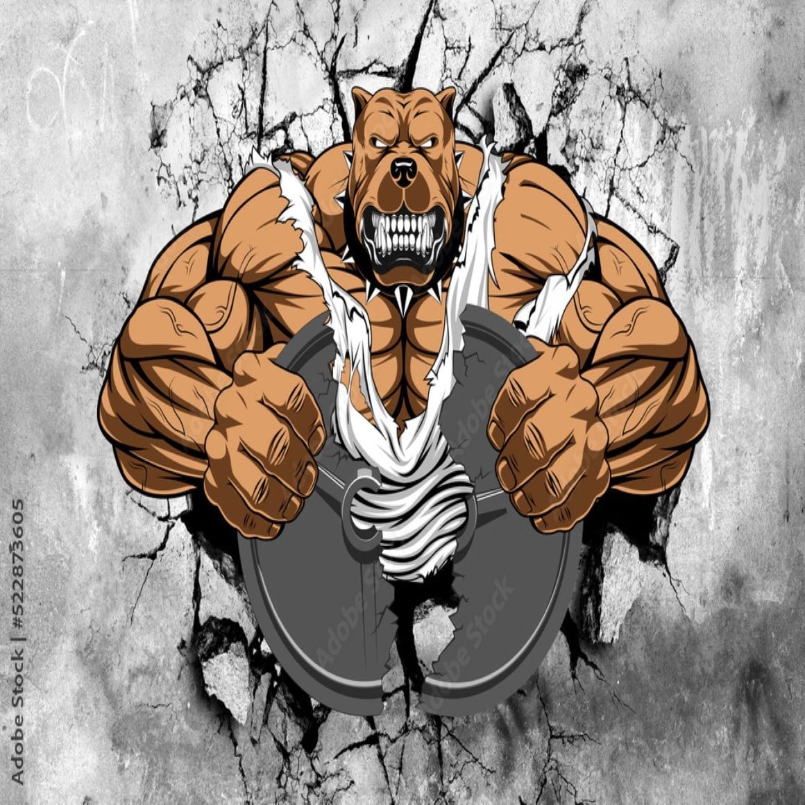 Papier Peint Musculation | Le Petit Intissé