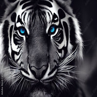 Thumbnail for Déco Chambre Tigre | Le Petit Intissé