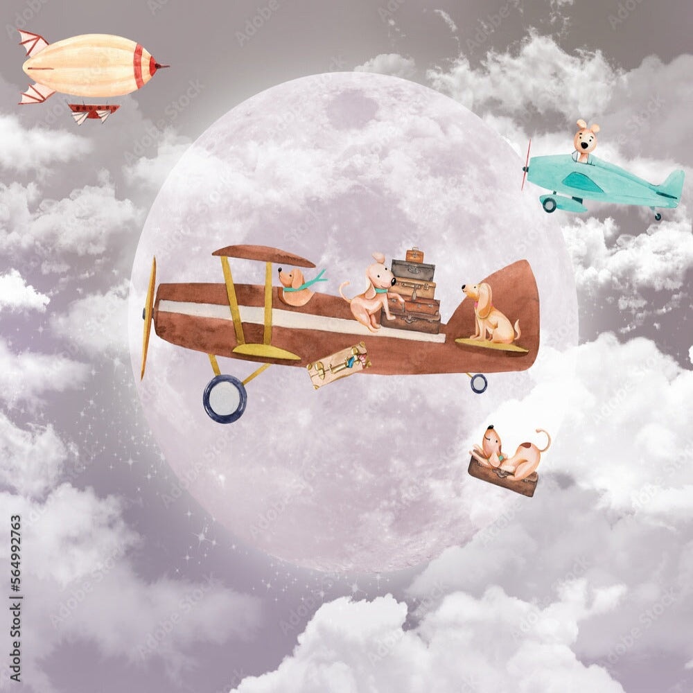 Déco Chambre Garçon 5 Ans | Le Petit Intissé