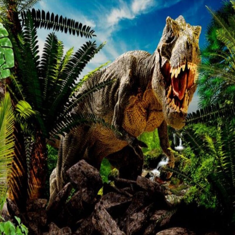 Déco Murale Dinosaure | Le Petit Intissé