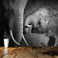 Thumbnail for Papier Peint Eléphant Noir et Blanc | Le Petit Intissé