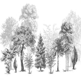 Papier Peint Forêt Noir et Blanc | Le Petit Intissé