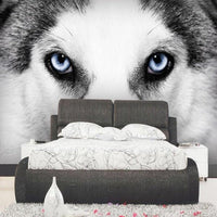 Thumbnail for Papier Peint Husky Noir et Blanc | Le Petit Intissé