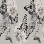 Papier Peint Papillon Noir et Blanc | Le Petit Intissé
