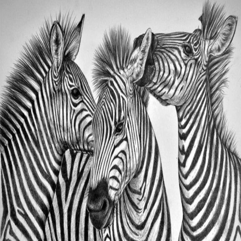 Papier Peint Noir et Blanc Rayures | Le Petit Intissé